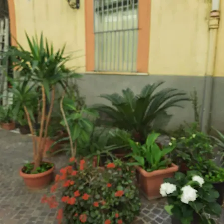 Lejlighed Ampio In Centro *