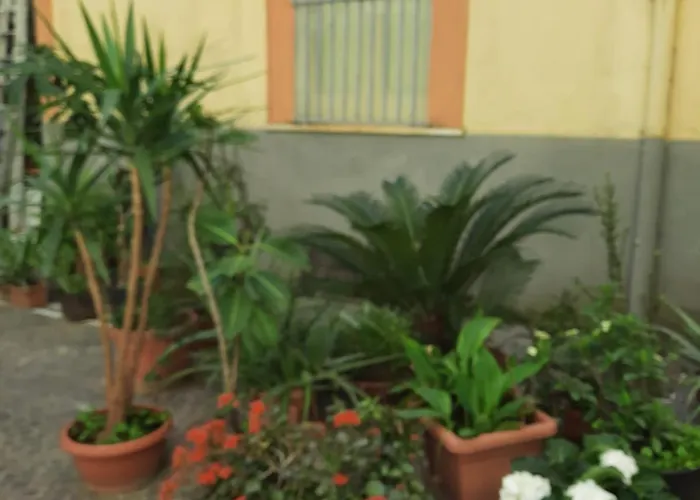 아파트 Ampio In Centro *